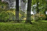 tannenfeld-sommer 2012-026